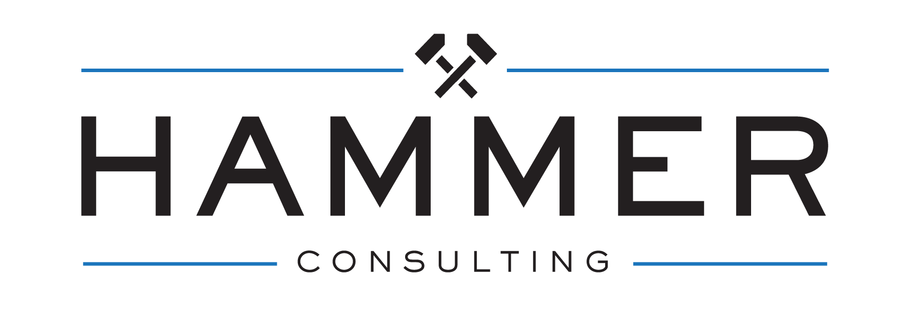 Hammer Consulting
